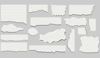torn pieces of checkered paper. Notebook sheet pieces with torn edges. Ripped checkered Paper Torn Edges. Piece of smooth ripped checkered paper. lined and crumpled effect paper vector
