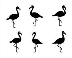 Simple Black Silhouette Flamingos in Various Poses vector