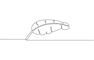 One continuous line drawing of banana tree. Banana tree line art drawing, Banana Leaf Continuous Line Drawing, Palm leaf in one continuous line drawing. One line poster outline. vector
