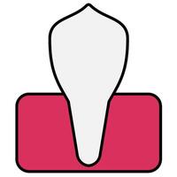 Canine tooth icon vector