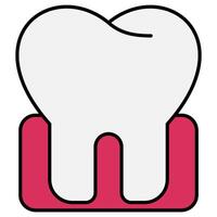 Molar Tooth icon vector