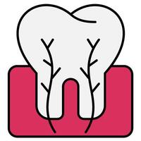 Tooth cross section icon vector