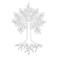 Minimal lineart Tree Illustration with lineart leave on White Background. vector