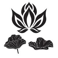 Set of decorative leaf elements with nature-inspired design in various shapes and styles vector