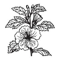 Hand drawn sketch flower illustration with vintage style design vector