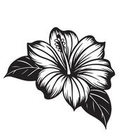 Black and white lily flower illustration with floral elements and decorative design vector