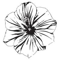 A black and white drawing of a flower vector