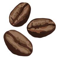Three Rich Brown Roasted Coffee Beans Falling on White Background, Aromatic and Tempting Image - Professional digital artwork with vibrant colors and detailed composition vector