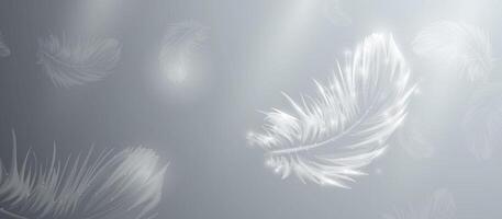 Abstract white bird feathers falling in the air. Low polygonal, wireframe, linear and mesh. illustration vector