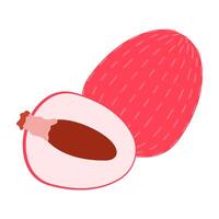 Colorful flat icon of juicy fruits, and exotic tropical produce. vector