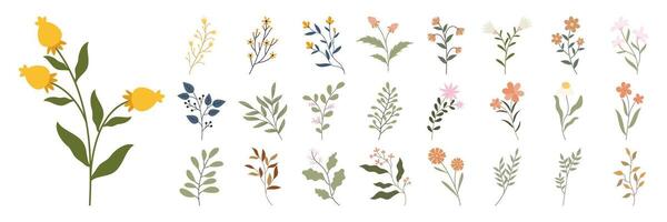 Collection colorful wildflower and botanical illustration elements. Flat flower set vector