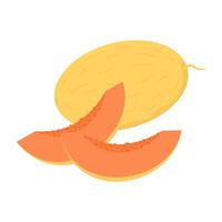 Flat illustrations of various tropical, and exotic fruits on white background vector