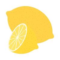 Colorful flat icons of juicy fruit, and exotic tropical produce. vector