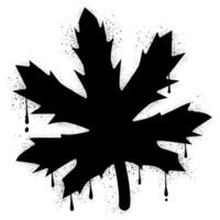 Black maple leaf graffiti with spray paint vector
