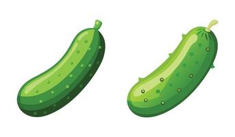 Fresh Green Cucumber Illustration with Realistic Color Details for Natural Organic Food and Garden Design vector