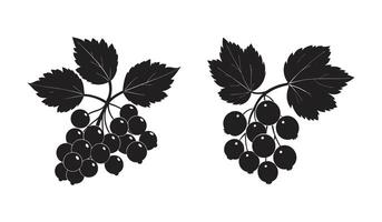 Currant Plant with Leaves and Branches Unique Silhouette Illustration for Natural Decorative Botanical Designs vector
