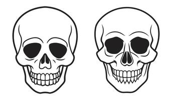 Human Skull Silhouette with Detailed Line Art Featuring Bone Structure and Hollow Eye Sockets for Unique Designs vector