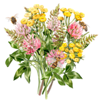 Watercolor painted Clover and Tansy bouquet with herbs and honey bees png