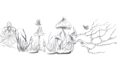 Seamless border with poisonous mushrooms, butterflies and a spider. Isolated pencil illustration on the theme of magic for Halloween event decoration, postcard printing, interior design png