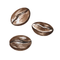 Coffee beans. Hand-drawn watercolor illustration. Isolation. Color image. Design element for packaging, logos, and labels. For banners, flyers and menus, posters, and more. png