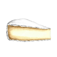 A piece of Camembert cheese. Hand-drawn watercolor illustration. Color image. Isolate. For packaging and labels. For banners and posters. For restaurant menus, bars, and more. png