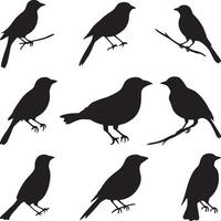 Simple Black Silhouette of Various Birds vector