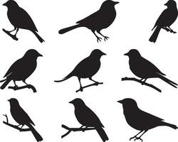 Nine Silhouettes of Birds on Branches vector