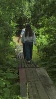 Two friends are walking along a wooden bridge, enjoying the beautiful view of the small forest river that opens up from it. vertical video