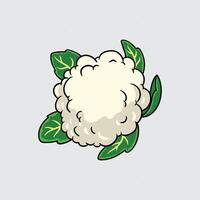 Cauliflower vegetable Simple isolated cartoon illustration with a light background vector