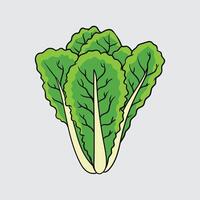 Lettuce vegetable Simple isolated cartoon illustration with a light background vector