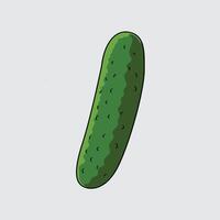 fresh green cucumber vector