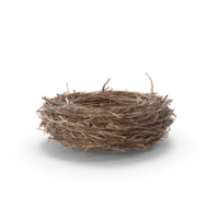 Empty Bird Nest on transparent background png