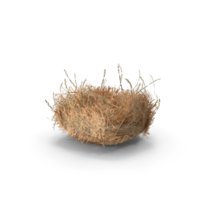 Empty Bird Nest on transparent background, png