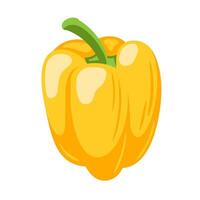 Sweet yellow bell pepper vector