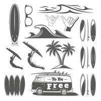 Vintage surfing elements vector