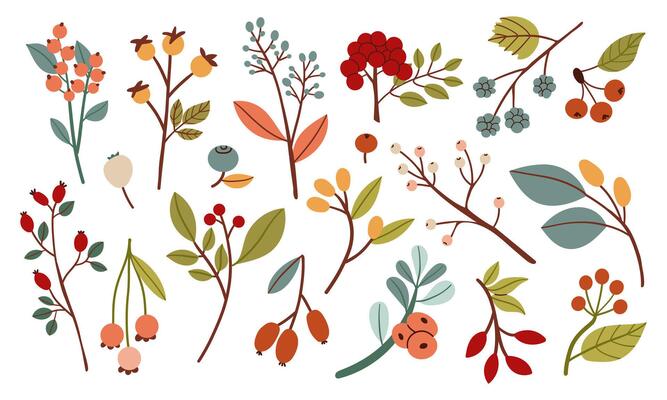 Simple autumn berries and twigs in warm red, orange, green and yellow tones. Different shapes and leaves make this perfect for seasonal designs and cozy fall themes. Flat design illustration.