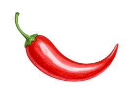 red chili pepper shaped ketchup splash watercolor food illustration on isolated background for spicy condiment design and culinary art png
