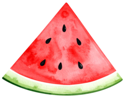 watercolor illustration of red watermelon triangle slice with seeds and green rind for summer food design on isolated background png
