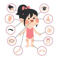 Child body parts illustration for education vector