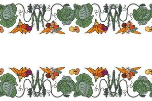 Botanical decorative different vegetables horizontal seamless pattern border isolated on white background. Hand drawn colorful veggies plants with Roots Stems Leaves illustration Graphic design vector
