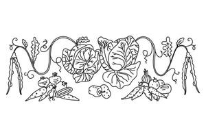 Line art botanical decorative different vegetables horizontal border pattern isolated on white background. Hand drawn outline veggies plants with Roots Stems Leaves illustration. Graphic design vector