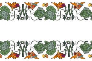 Botanical decorative different vegetables horizontal seamless pattern border isolated on white background. Hand drawn colorful veggies plants with Roots Stems Leaves illustration. Graphic design vector