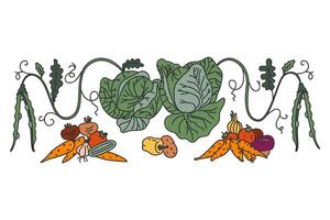 Botanical decorative different vegetables horizontal border pattern isolated on white background. Hand drawn colorful veggies plants with Roots Stems Leaves illustration. Graphic design element vector