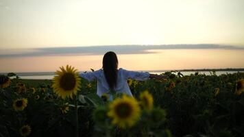 A woman is standing in a field of sunflowers, with her arms raised in the air. The sun is setting in the background, creating a warm and peaceful atmosphere. video