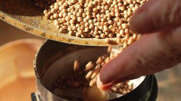 Coriander Seeds Grinder Pouring - Closeup of a hand pouring coriander seeds into a grinder for making a spice blend. video