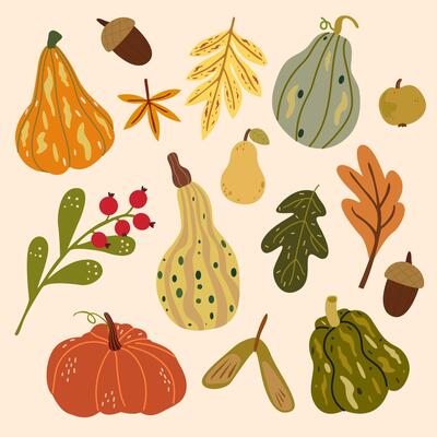 Cozy hand drawn autumn elements. Pumpkins of different form, acorn and leaves. Botanic fall season cartoon retro stickers. illustration