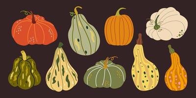 Autumn hand drawn pumpkins collection in cartoon groovy funky style. Fall ripe vegetables of various shapes and colors. Harvest time. flat seasonal graphic elements vector
