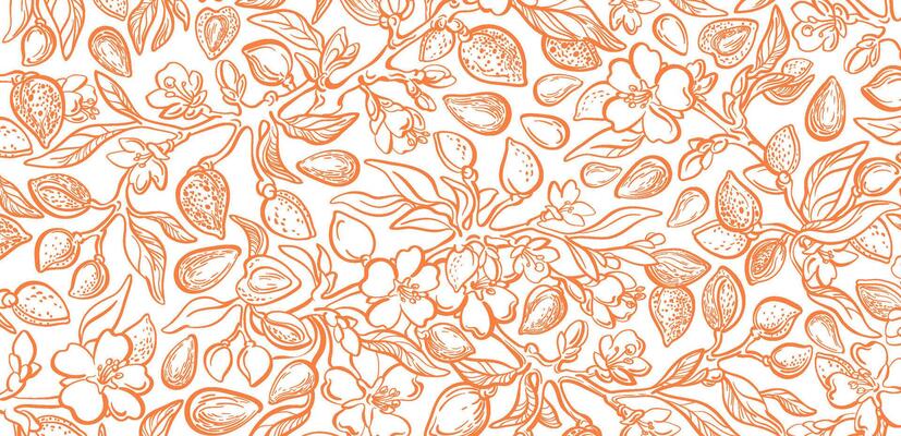 Almond background. Sketch drawn nuts, vintage tree