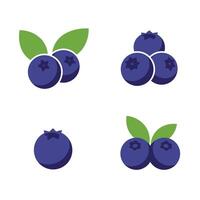 Colorful Blueberry Elements for Design vector