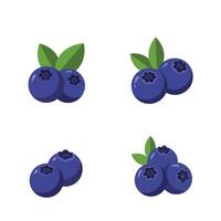 Blueberry Clipart Bundle with Leaves vector